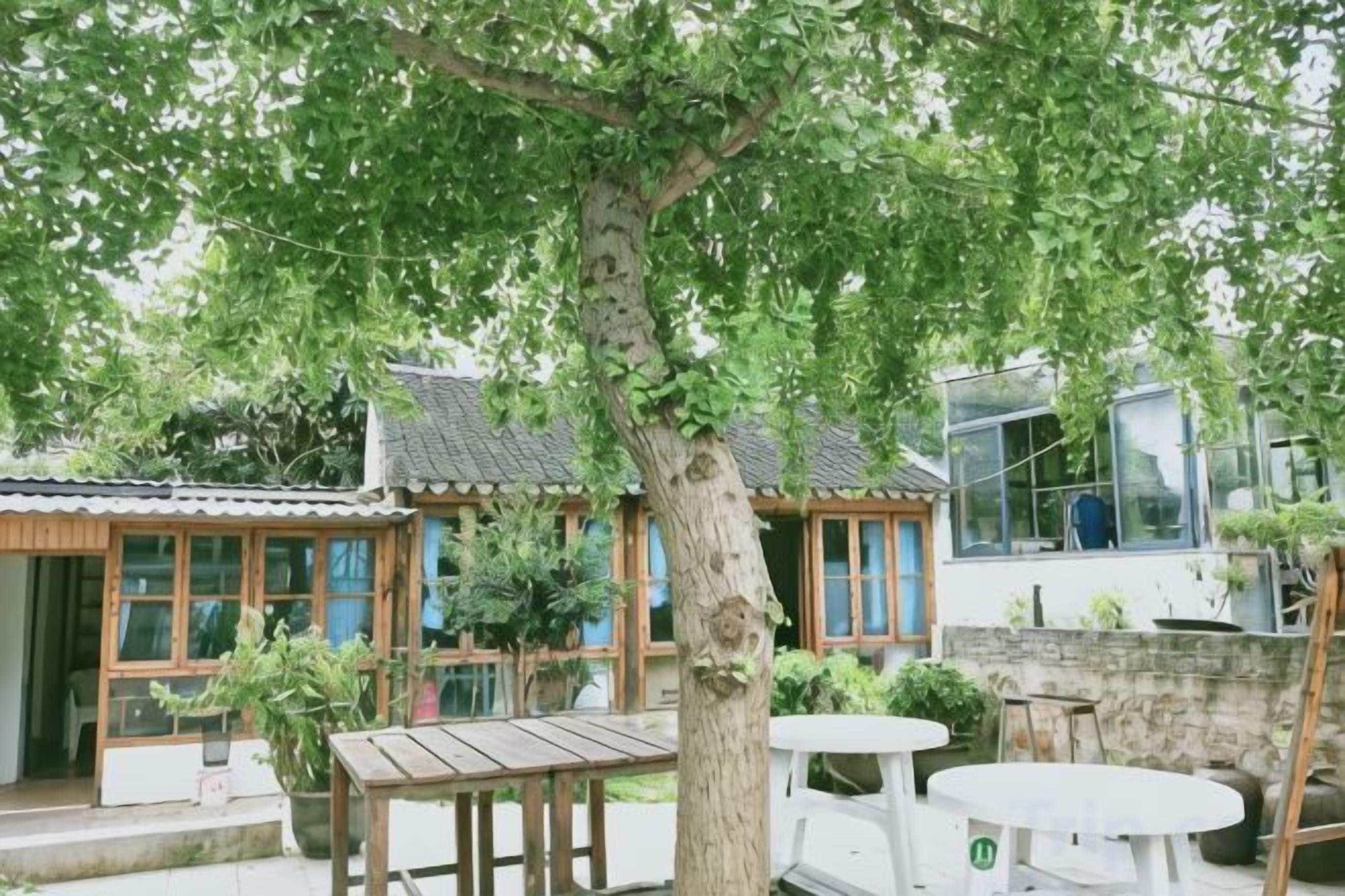 Un patio con una mesa de madera, una mesa blanca y un árbol grande.