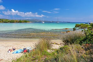 Beach - Wonderful apartment within walking distance from the center and beaches of Porto Rotondo (Porto Rotondo)