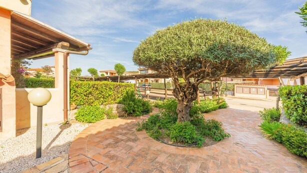 Ein gepflasterter Innenhof mit einer zentralen Baumgruppe, umgeben von Grünflächen und einem Gebäude mit einer Pergola.