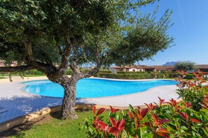 Une piscine entourée d’un espace paysager agrémenté d’un grand arbre et d’une pelouse bien entretenue.