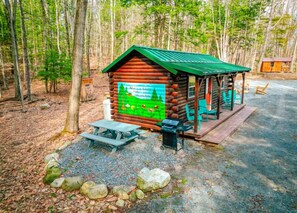 A rustic cabin with a green roof, a picnic table, and a small barbecue grill.