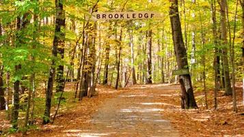 A forest path with trees and a sign reading "BROOKLEDG".