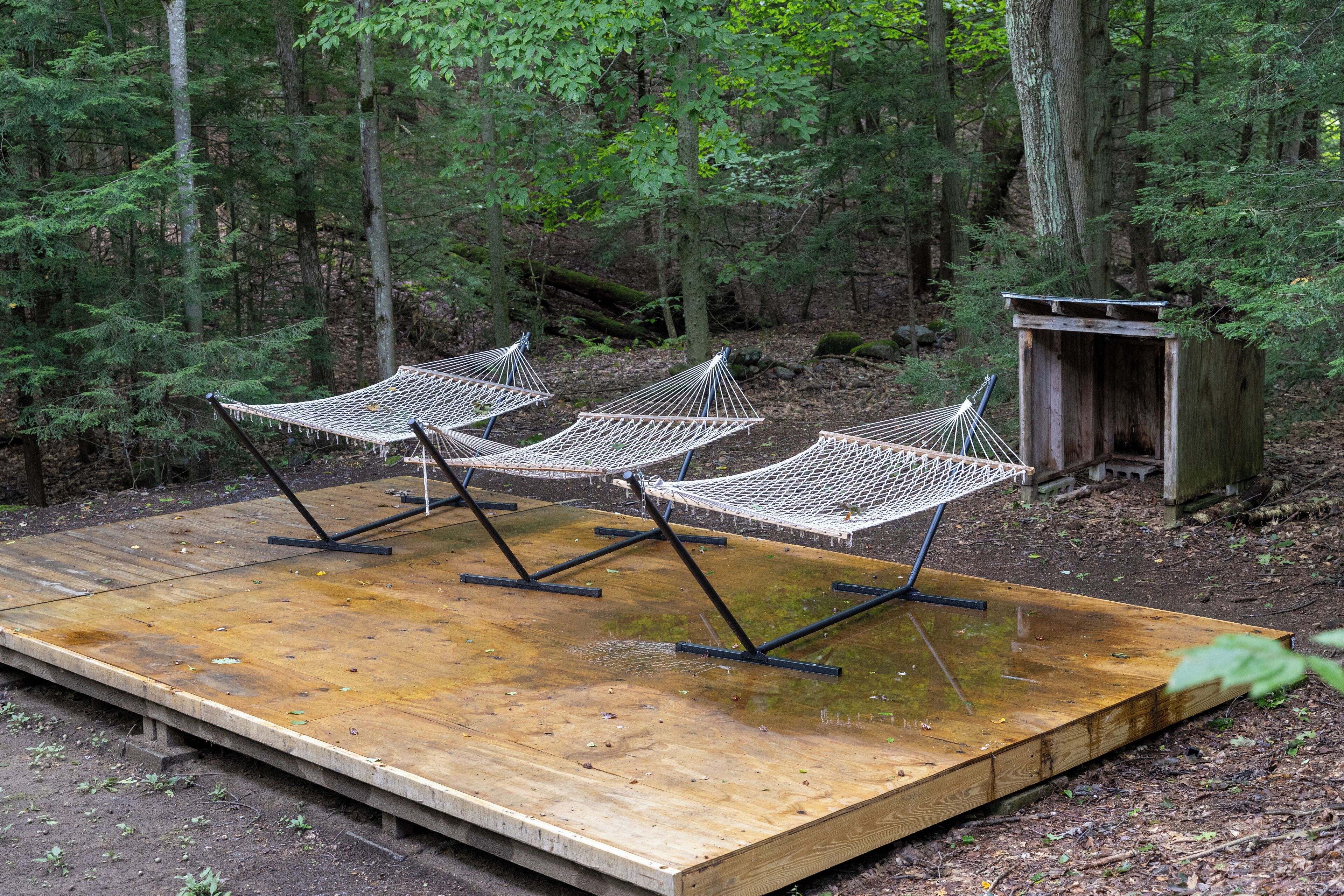 A wooden platform with three hammocks in a forest setting.