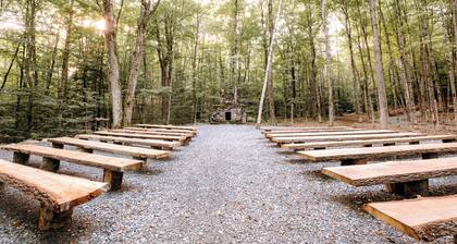 Dog friendly trolley with Peanuts Theme