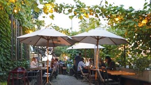 An outdoor café with tables and chairs under umbrellas, surrounded by greenery.