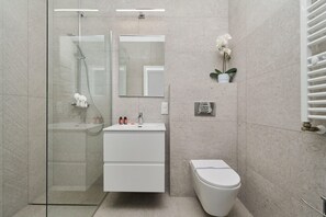 Shower, hair dryer, towels