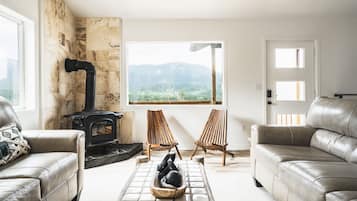 Televisión, chimenea, reproductor de DVD, libros