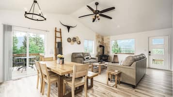 Televisión, chimenea, reproductor de DVD, libros