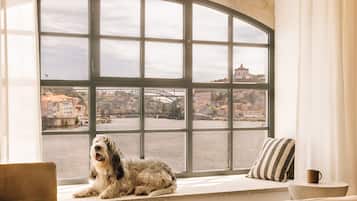 Aceita animais de estimação