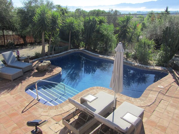 Outdoor pool, open 10:00 AM to 8:00 PM, pool umbrellas, sun loungers - La Casa Palmera - Caminito Del Rey (Cartama)