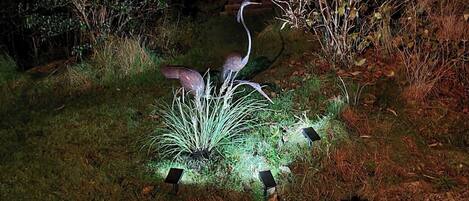 A bird standing on a grassy area with some plants and rocks.