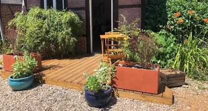 the watering hole room