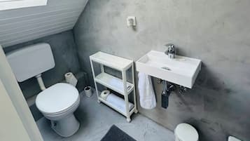 Shower, towels, toilet paper