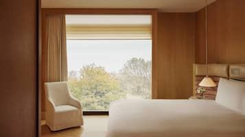 Corner Park Suite | View from room