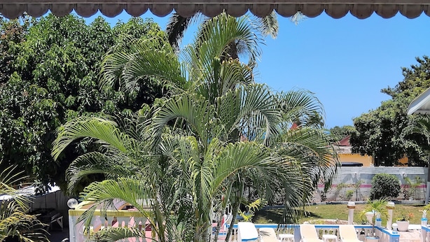 A poolside area with lounge chairs and potted plants. - Pink Hibiscus Villa (Montego Bay)
