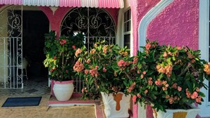 A pink building with a tiled entrance, large potted plants with flowers, and a metal gate. - Pink Hibiscus Villa (Montego Bay)