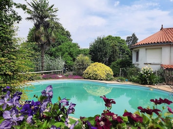 piscine non chauffée 10m x 6m