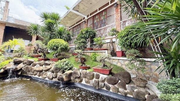 A courtyard with a koi pond, potted plants, and a traditional building with a tiled roof. - Casa Lorenzo powered by Cocotel (Daraga)