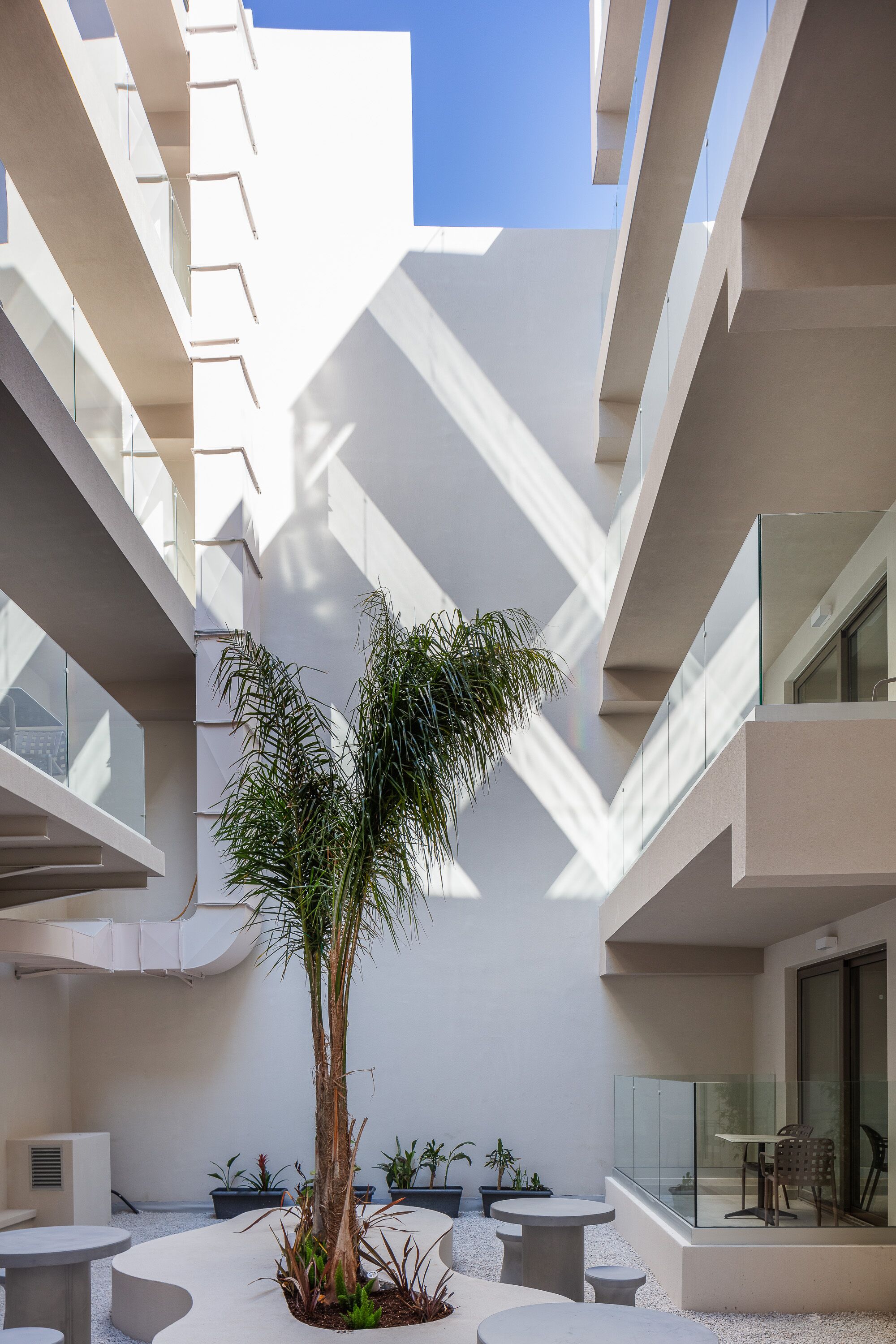 A modern atrium with a central palm tree, multiple seating areas, and a glass balustrade.