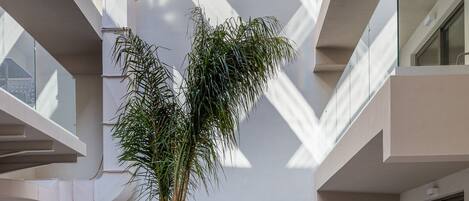 A modern atrium with a central palm tree, multiple seating areas, and a glass balustrade.