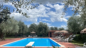 Una piscina rettangolare con bordo piastrellato, circondata da un patio in mattoni. Si vedono sedie a sdraio e ombrelloni, con alberi sullo sfondo.