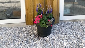 A small tree with green leaves in a black pot, placed on gravel in front of a wooden door. - Sejerø Vandrerhjem (Sejero)