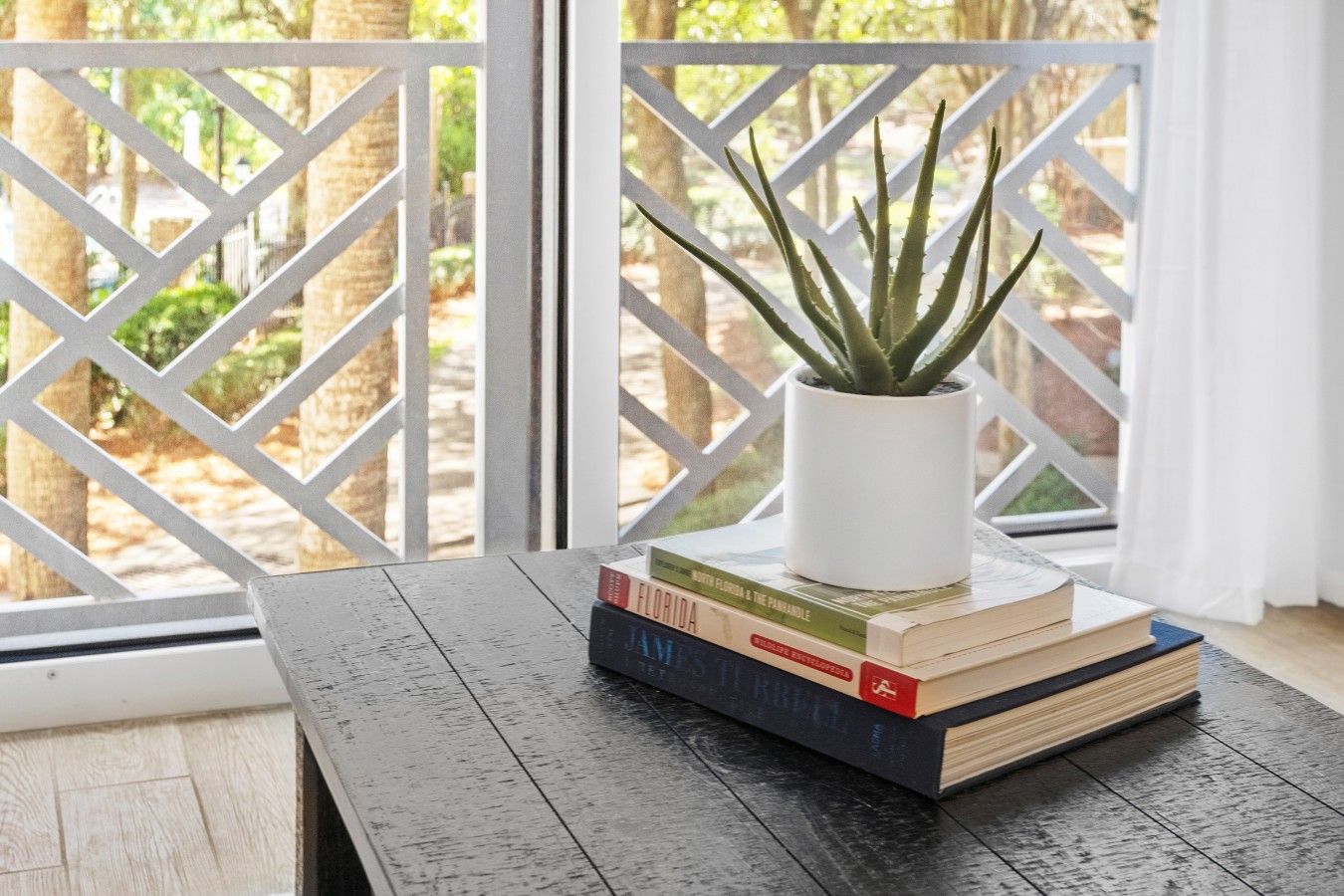 Uma planta de aloe vera em vaso sobre uma pilha de livros em uma mesa de madeira perto de uma janela com treliça branca.