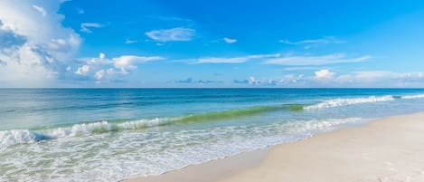 Condo, 2 Bedrooms | Beach | On the beach