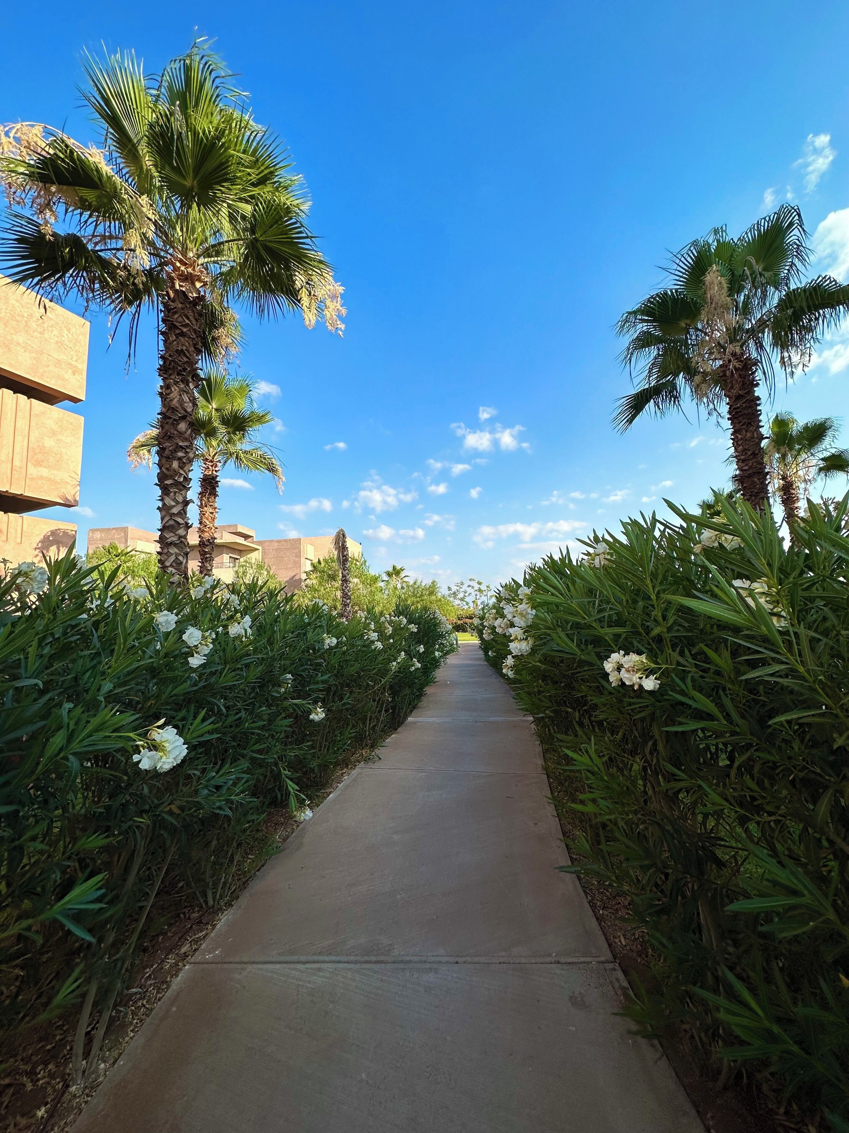 Enceinte de l’hébergement