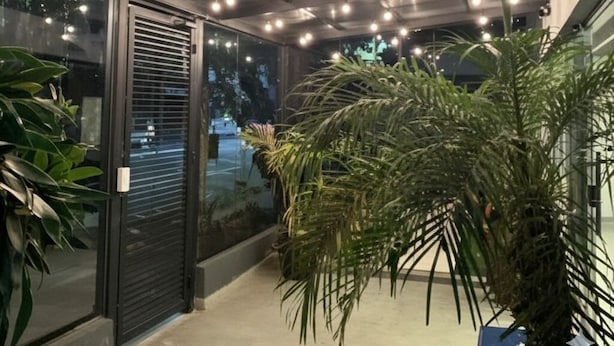Un pasillo con techo iluminado, una puerta de cristal y una planta en maceta.