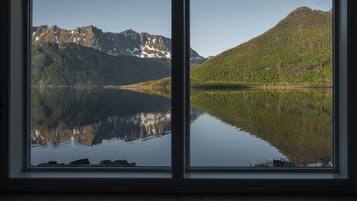 Panoramic Villa | Living area | Flat-screen TV, offices