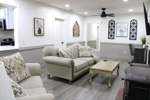Smart TV, fireplace, books