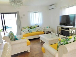 TV connectée, cheminée, chaîne hi-fi