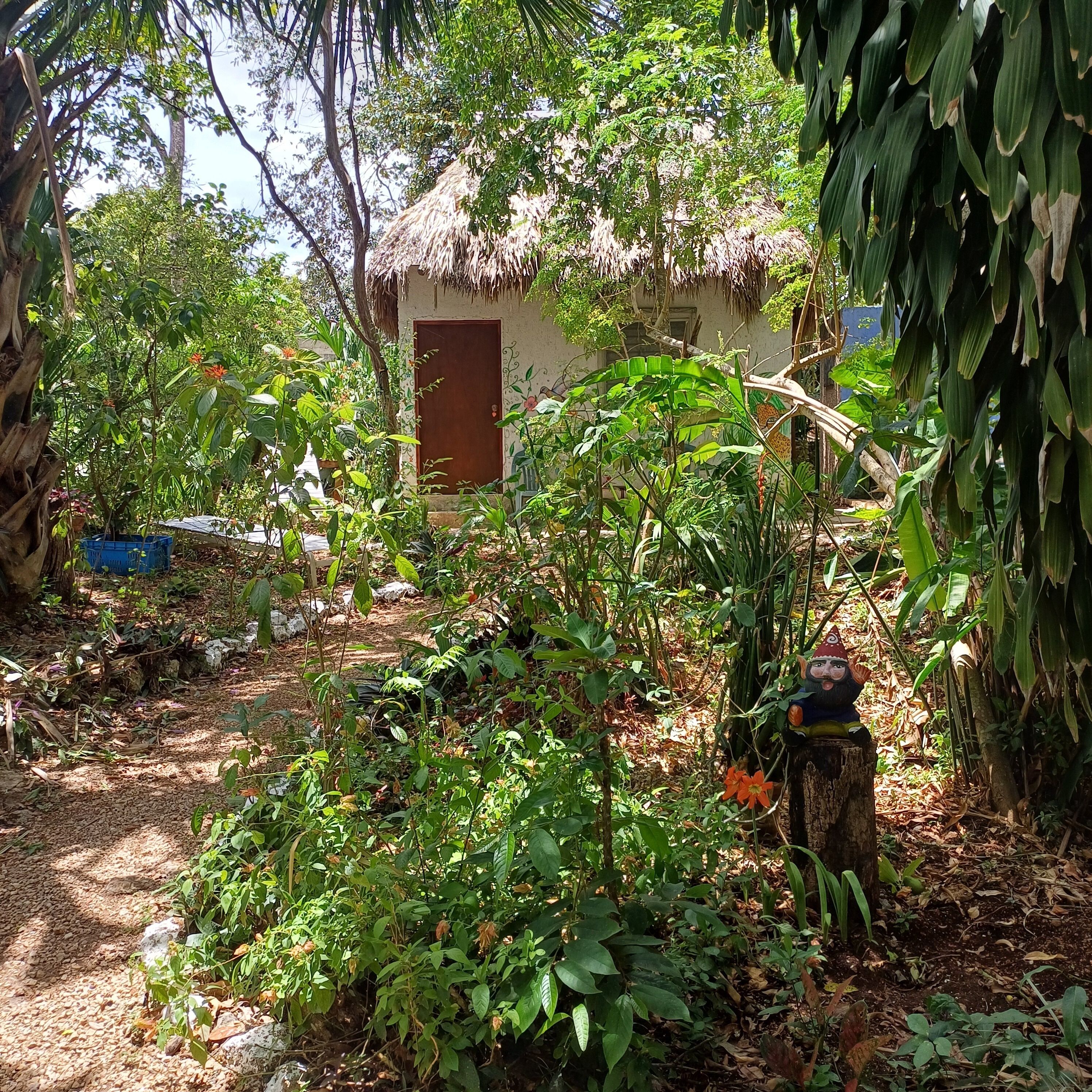 Comfort Bungalow, 1 Bedroom | Terrace/patio