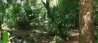 Mayan Bungalow Near Chichén Itza