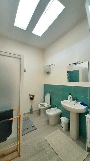 Ducha, secador de pelo, bidé y toallas