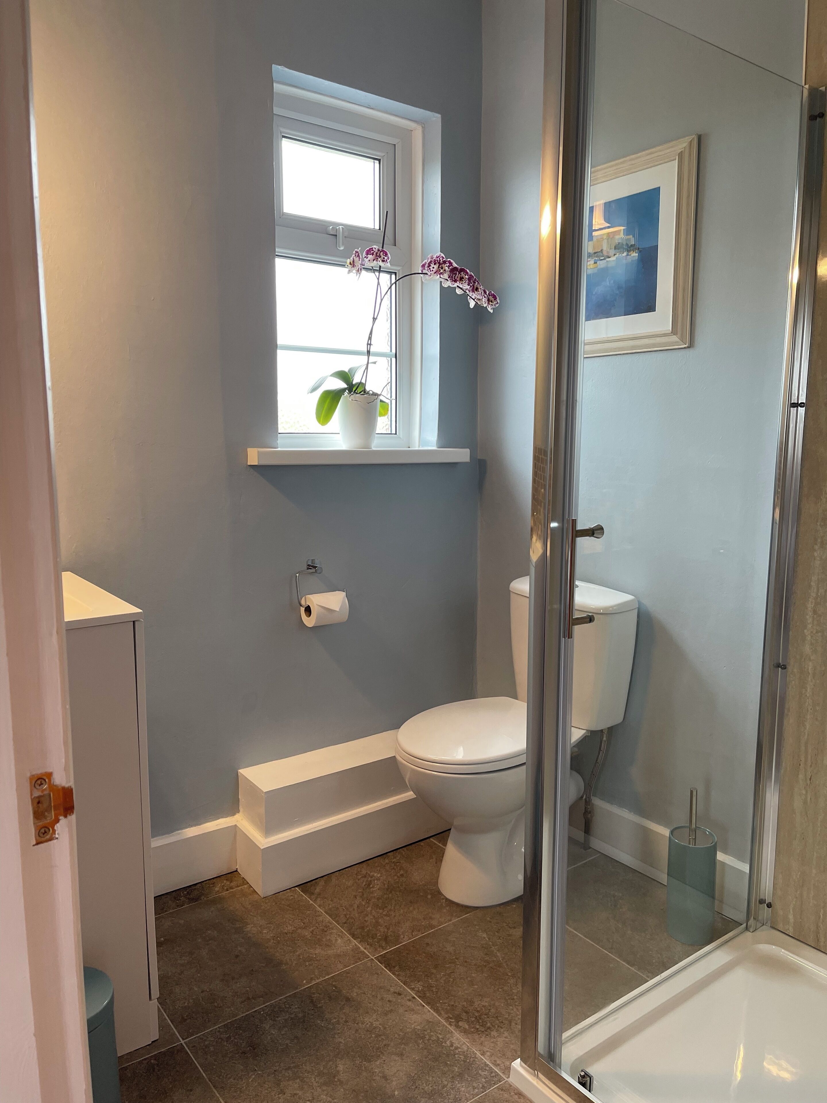 A bathroom with a toilet, a window with a potted plant, a framed picture on the wall, and a shower area.
