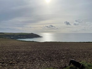 Miscellaneous - Rame View - Double Bedroom with En-suite (Millbrook)