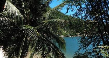 SUITE Ăźle de Jaguanum