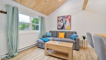Smart TV, chimenea, libros