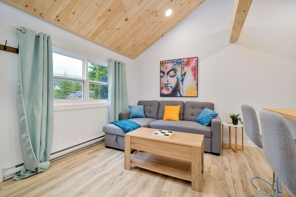 Smart TV, fireplace, books