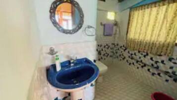 Serviettes fournies, savon, papier toilette