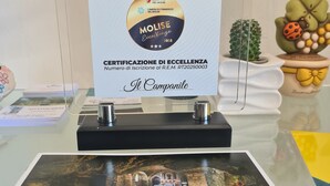 A framed certificate of excellence for Molise, a book titled "Sant'Angelo in Grotta sulle Ali dell'Arcangelo Michele," and a cactus plant. - Il Campanile (Santa Maria del Molise)