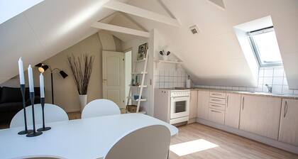 Cozy 1-bedroom Apartment in Aalborg