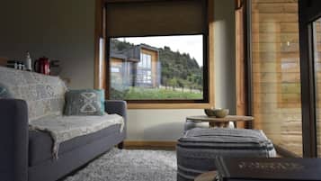 TV connectée, cheminée, livres, chaßne hi-fi