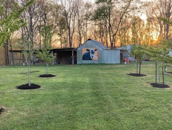 Surrounded by lush greenery, this charming building features a rustic mural of a cow.