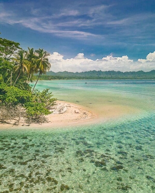 Beach nearby - Jungle Serenity by the Sea (Puerto Viejo de Talamanca)