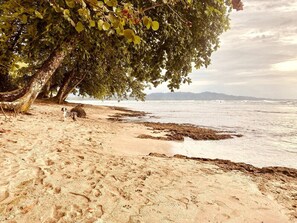 Plage à proximité