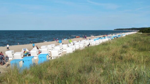 A beach with rows of white beach chairs and umbrellas, a grassy foreground, and the sea in the background.