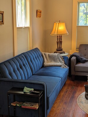 Una Smart TV, una chimenea, libros